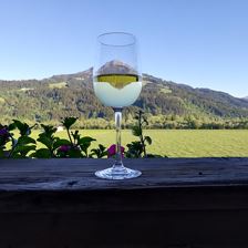 Biohof Stiedler St. Johann in Tirol