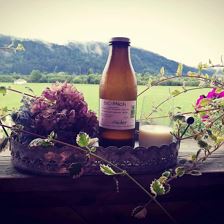 BioMilch_biohof_Stiedler