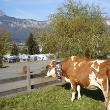 Camping Michelnhof St. Johann in Tirol Ansicht