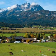 Camping Michelnhof St. Johann in Tirol