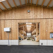 Michelnhof Campingplatz Bauernhof