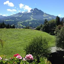 Blick zum Kitzbüheler Horn