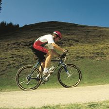 13 MTB'en