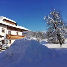 IMG_20211212_125553