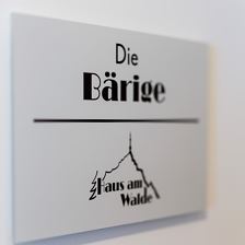 Haus_am_Walde_Mauthfeld_13_St_Johann_Appartement_D