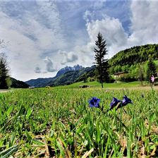Wilder Kaiser