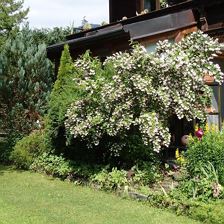 Gartenimpressionen