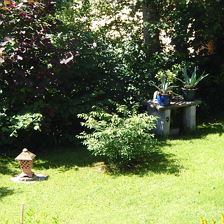 Gartenimpressionen