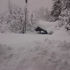 winterbid2