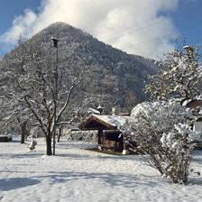 WP_20171114_11_36_41_Pro