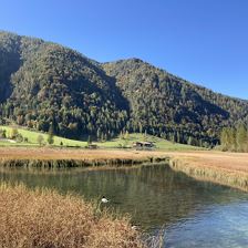 Herbstspaziergang am Pillersee
