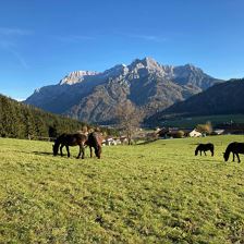 Natur geniesen