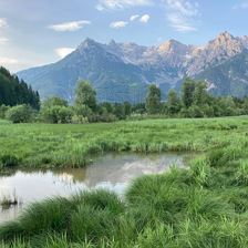 Naturschutzgebiet  Fleckenried