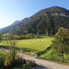 Ausblick vom Haus im Sommer
