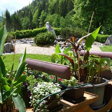 Blick zum Garten