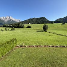 IMG_0135