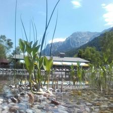 IMG-20170719-WA0001
