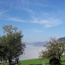 Bodennebel