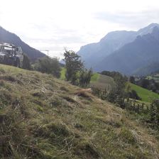 frisch gemäht beim Bergerbauer