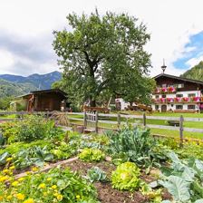 garten-bauernhof-12