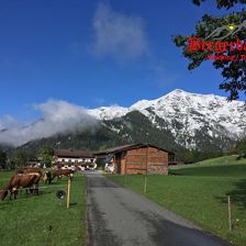 IMG-20210115-WA0018