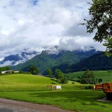 Reine Natur