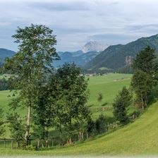 Wilde Kaiser