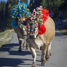 Almabtrieb im September