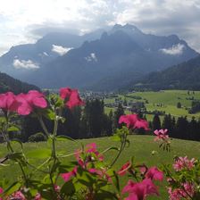 Blick vom Balkon 