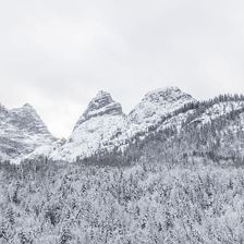 -®defrancesco_photography_Zimmerfotos_Ascherbauer-