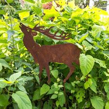 ferienwohnungen-waidring-glockenhof (2)