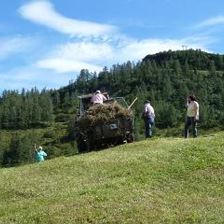 Heuarbeit auf der Alm
