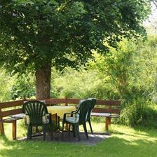 Garten im Sommer