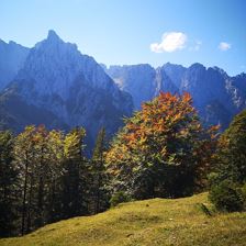 Ausblick von der Alm auf den Wilden Kaiser