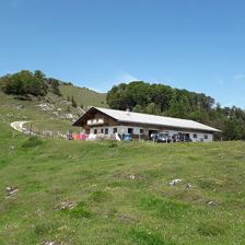 untere Scheibenbühelalm im Sommer