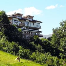 Frontansicht Sommer