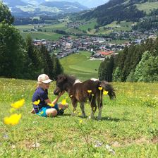 Aussicht auf Westendorf