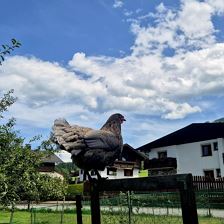 Obstgarten Stadlhäusl
