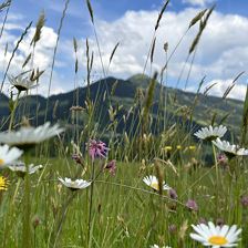 Region ...bei uns