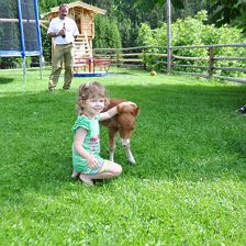 2011-06-04 005