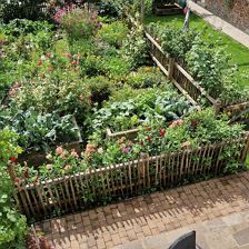 Bauerngarten