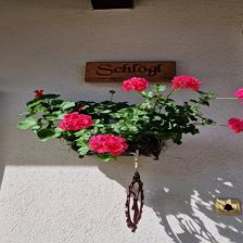 Blumendeko
