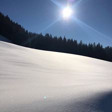 Blick  auf die frisch verschneite Wiese
