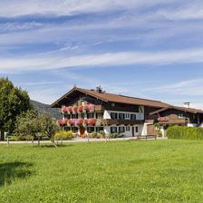 Freihof Sommer