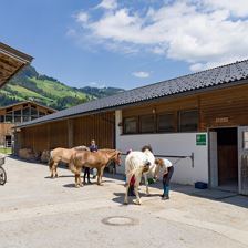 Haflingerhof_Dorfstrasse_54_Westendorf_07_2022_Pfe