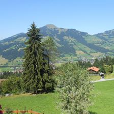 Sommerfoto