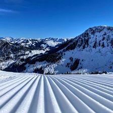 IMG_0250