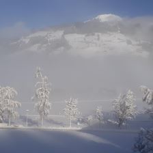 salvenblick