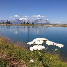 Salvensee