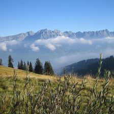 Blick auf das Kaisergebirge